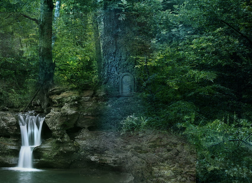 風景, 自然, 木, 滝, 森 高画質の壁紙