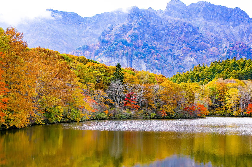 Natura, drzewa, góry, jesień, jezioro, Japonia, Togakushi, Togakusi Tapeta HD