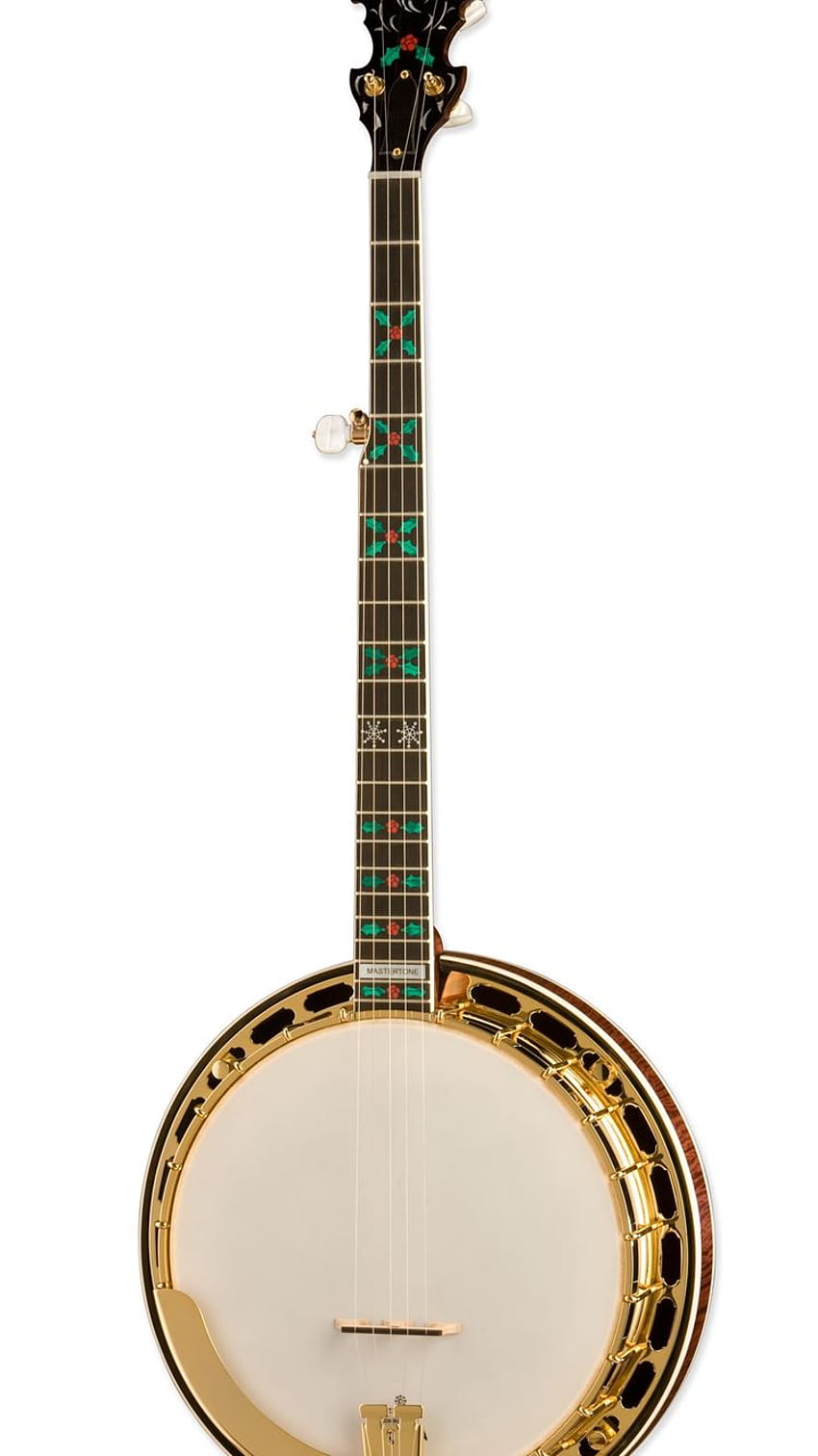 Folk Band Banjo Stock Photos - 1,132 Images | Shutterstock