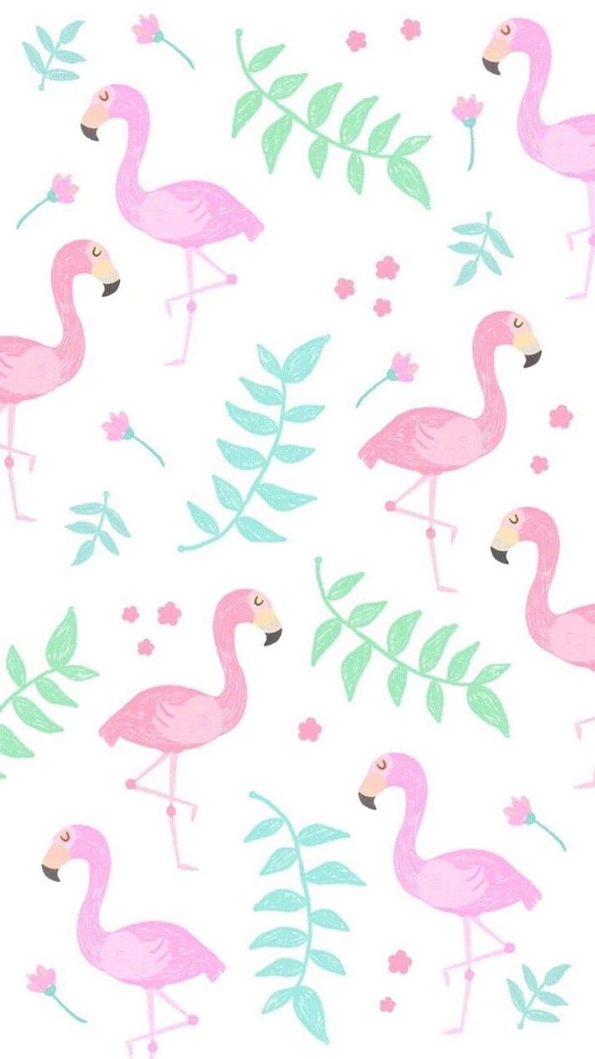 + amazingly cute background to grace your screen, Cute Flamingo HD phone wallpaper