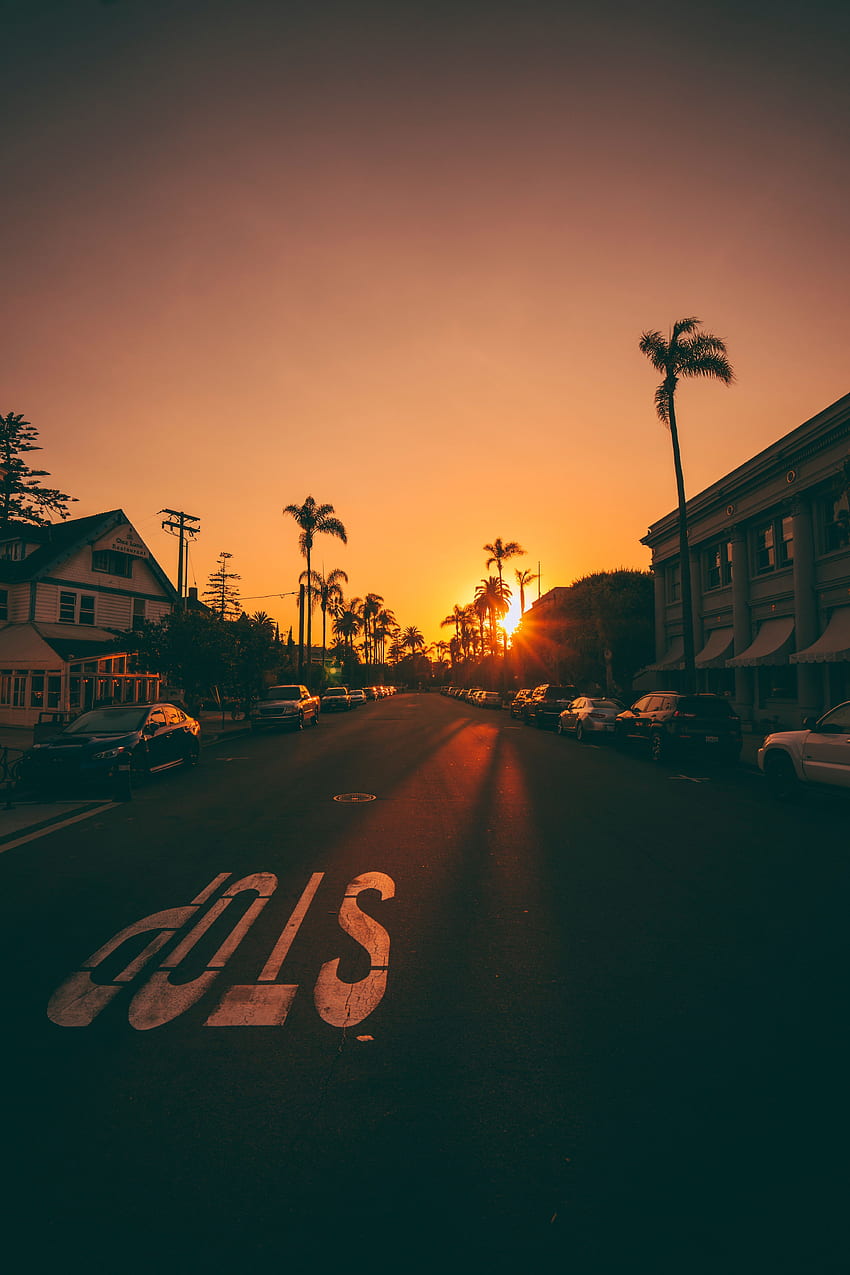 Miasta, zachód słońca, palmy, samochody, droga, znaczniki, ulica Tapeta na telefon HD