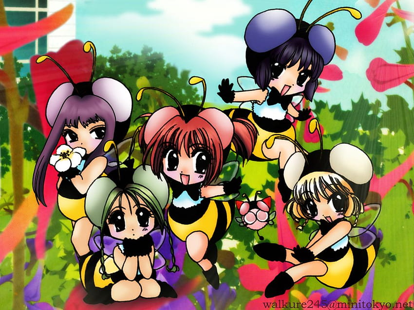 Tokyo Mew Mew : Honeybees HD wallpaper