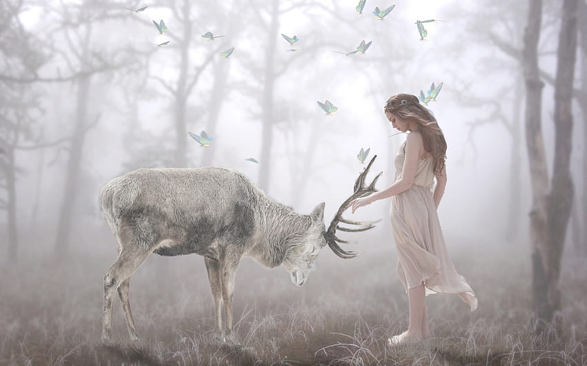 :-), white, horns, fantasy, deer, cerb, girl, luminos, forest HD wallpaper