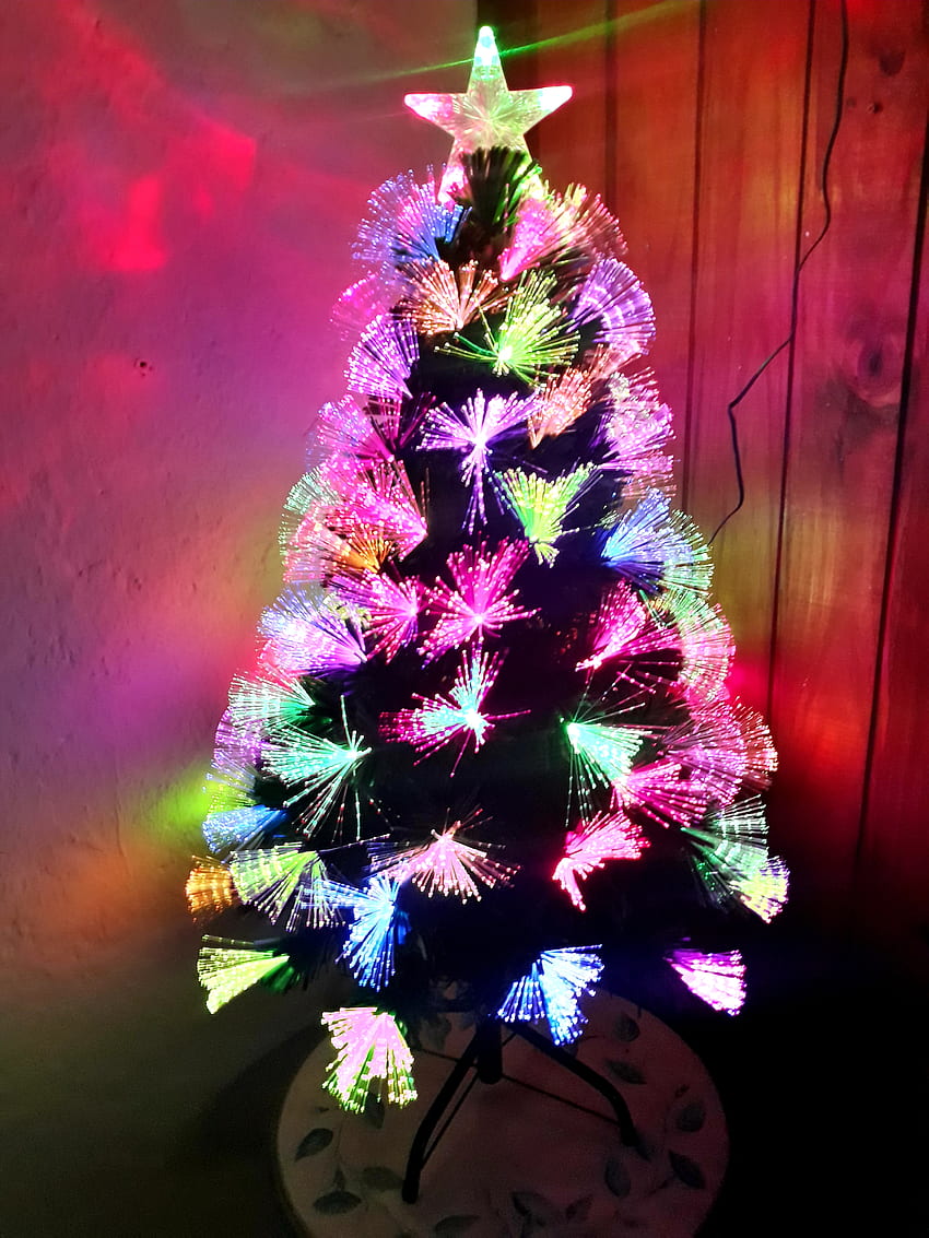 Árvore de Natal, árvore, rosa HD phone wallpaper