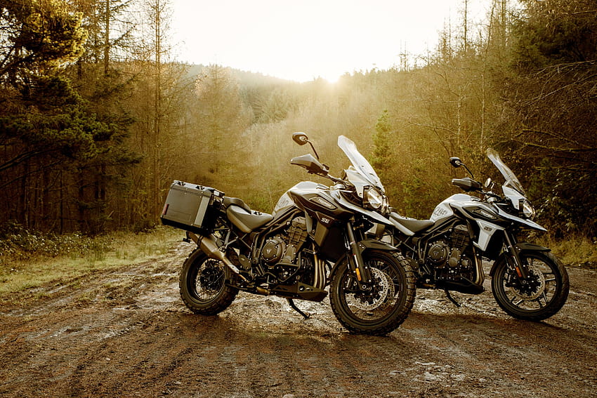 Triumph Gave Their Swashbuckler Tiger 1200 Machine Two Special Editions For 2020 HD wallpaper