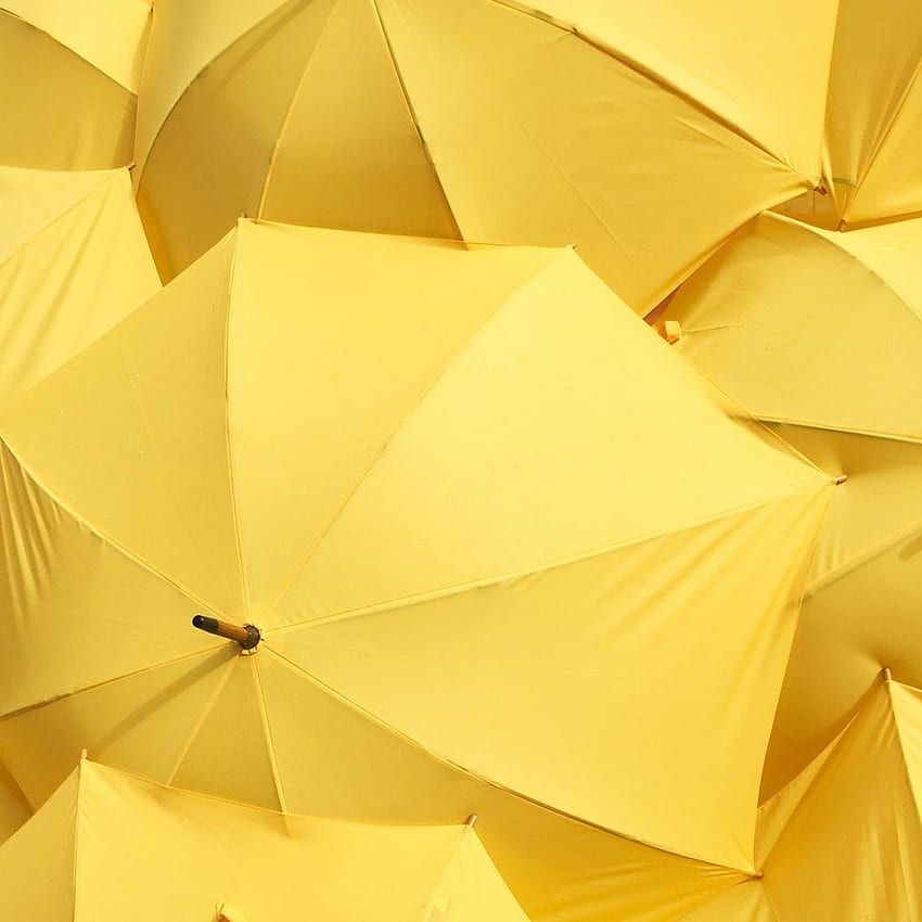 yellow umbrella – Yellow HD phone wallpaper