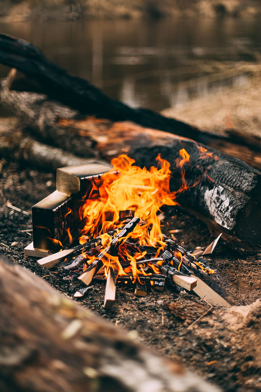Fire, Bonfire, , , Firewood, Camping, Campsite HD phone wallpaper