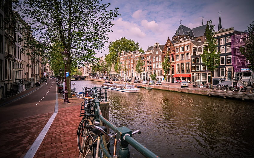 Amsterdam . Amsterdam Tulips, Amsterdam and Amsterdam Spring, Amsterdam Bike HD wallpaper