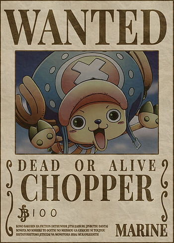 Bluefun Anime One Piece Pirates Wanted Posters 10pcs Set -（add JinBe ...