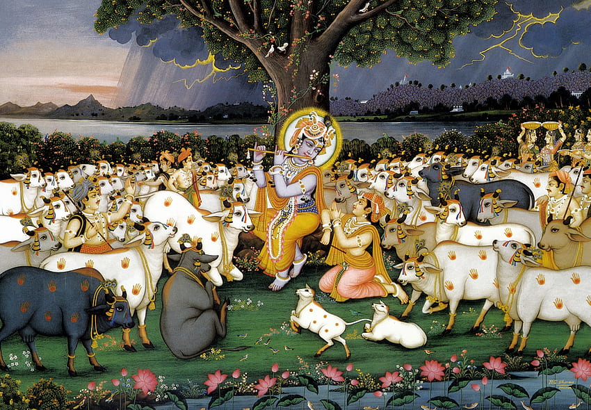 A principal atividade será a proteção de vacas. O Movimento Hare Krishna, Krishna e a Vaca papel de parede HD