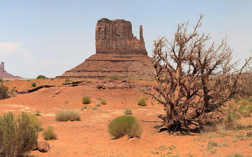 Природа, каньон, пустиня, растителност, суша HD тапет
