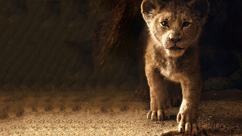 The Lion King Simba 2019 , Movies,, Lion HD wallpaper | Pxfuel