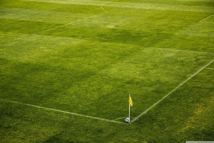 Soccer Field Stadium Ultra Background for HD wallpaper