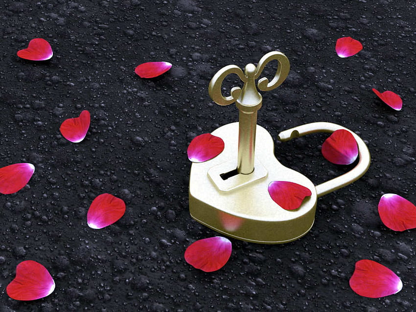 Key of heart, rose, black, key, flower, love, red, flowers, gold HD wallpaper
