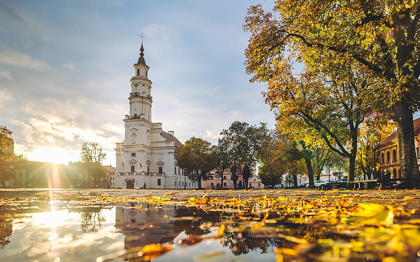 カウナス、リトアニア、市庁舎、秋、 高画質の壁紙