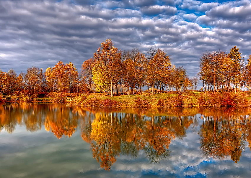 Gold on the shore, golden trees, autumn, cloudy sky, lake, reflections HD wallpaper