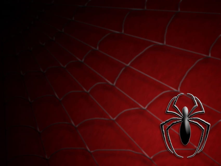 거미 . 거미줄, 붉은 거미 HD 월페이퍼