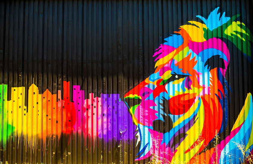 Lion Graffiti , Artist, ,, Graffitti HD wallpaper