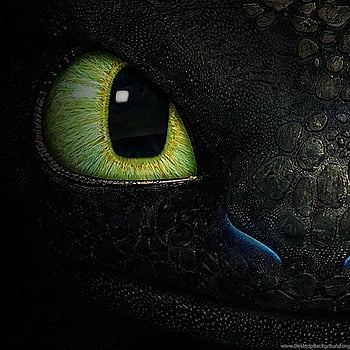 Dragon Toothless 3D Wallpapers  2018 HD APK for Android Download