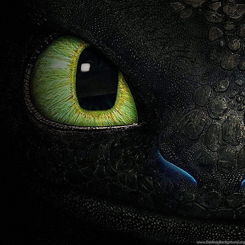 Premium AI Image  Toothless the dragon wallpapers and images