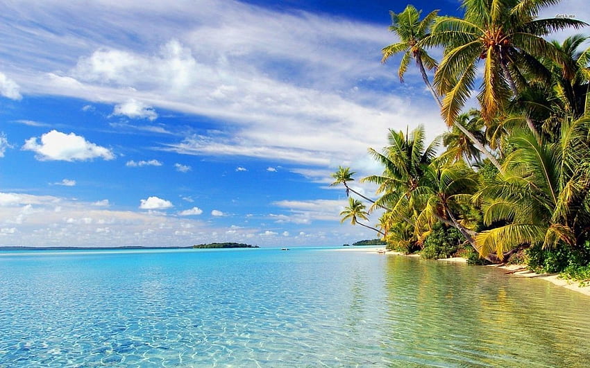 Preparing for the Cook Islands Trip! – CI Keys – CSU Channel Islands HD wallpaper