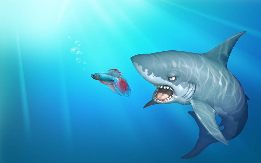 shark, , for, Cartoon Shark HD wallpaper | Pxfuel