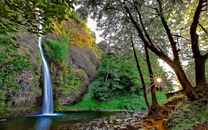Waterfall, beauty, forest, garden, mountain, stream, waterfall, Backyard Gardens HD wallpaper
