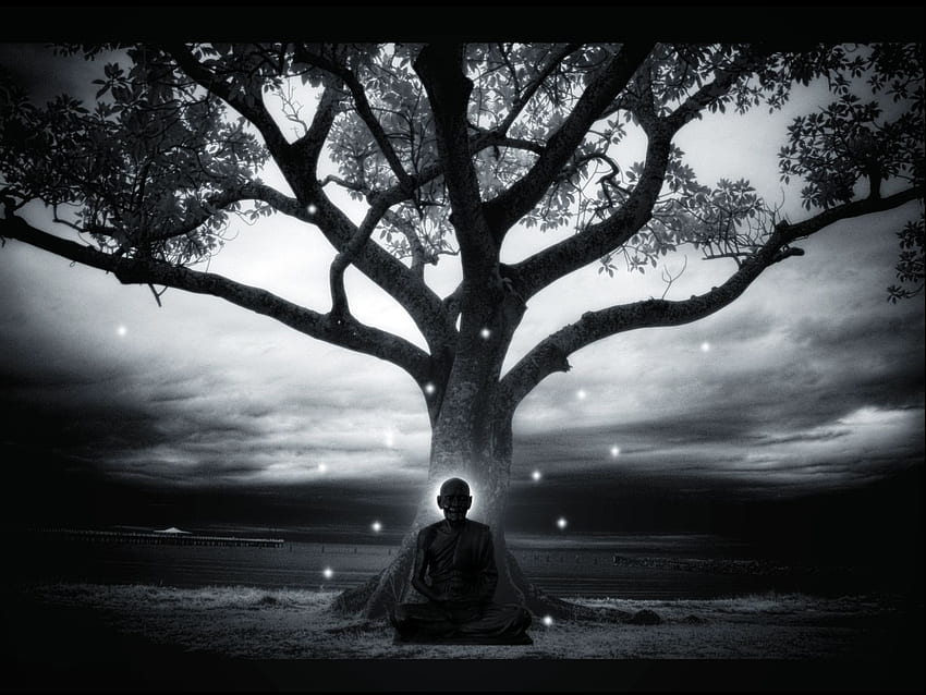 Zen Meditasyonu HD duvar kağıdı