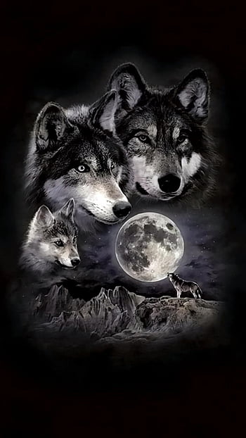 Cute Cunning Wolf Family  Art Board Print for Sale by Desireinspire   Redbubble