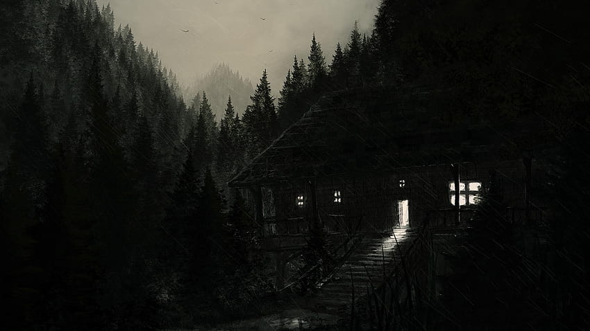 Karanlık Ormanda Yalnız HD duvar kağıdı