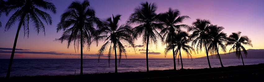 Piękny zachód słońca na plaży, panoramiczny ekran Windows 8 - - Beautif. Plaża, kraj plaży, wschód słońca, fajna panorama Tapeta HD
