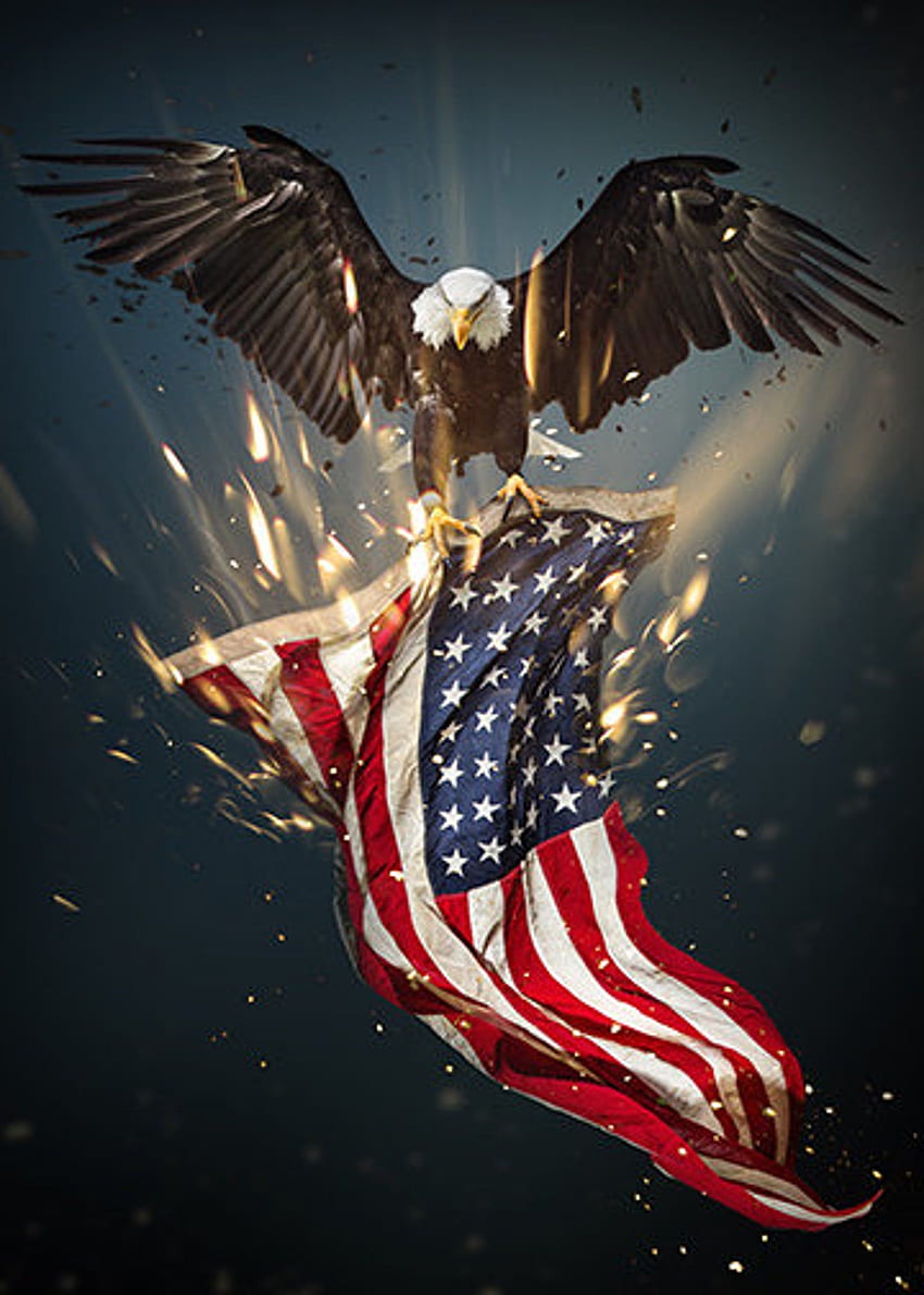 Decoração de porta com bandeira americana de águia americana - Decoração de porta - Capas de porta - Cartazes de porta - Capas de porta patrióticas - Idéias de decoração de porta - 4 de julho de 2021. Bandeira americana , Arte da bandeira americana, Águia Papel de parede de celular HD