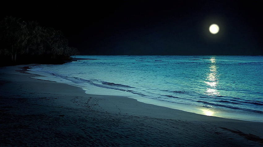 Spiaggia di notte Sfondo HD
