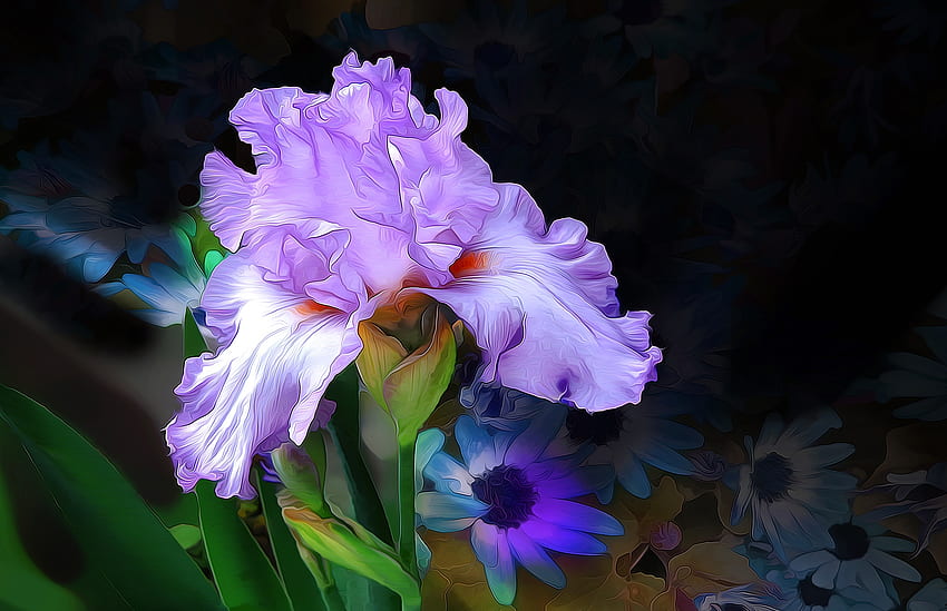Iris, blue, black, art, pink, painting, pictura, flower, green HD wallpaper