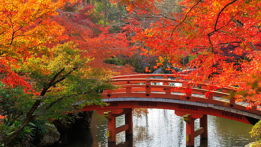 秋 日本 庭木 橋 Sce., 日本の風景 高画質の壁紙