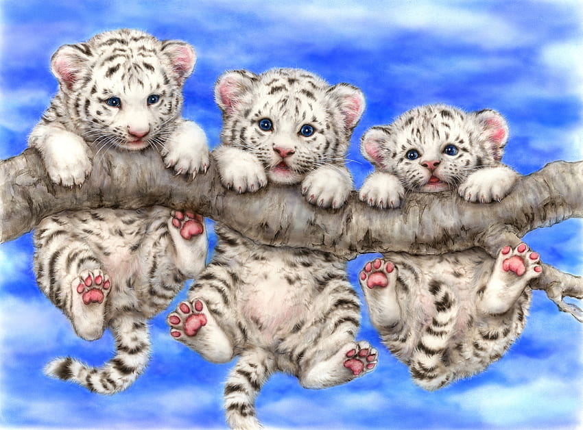 귀여운 흰 호랑이 새끼, 파랑, 동물, 흰색, 호랑이, 예술, 귀여운, 핑크, 판타지, tigru, luminos, 발, 트리오 HD 월페이퍼