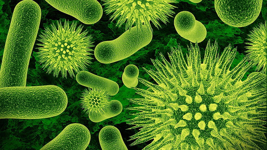 doğa, Büyük planlar, Mikroskobik, Virüsler, Bakteriler, Bilim, Yeşil, Biyoloji / ve Mobil Arka Plan HD duvar kağıdı