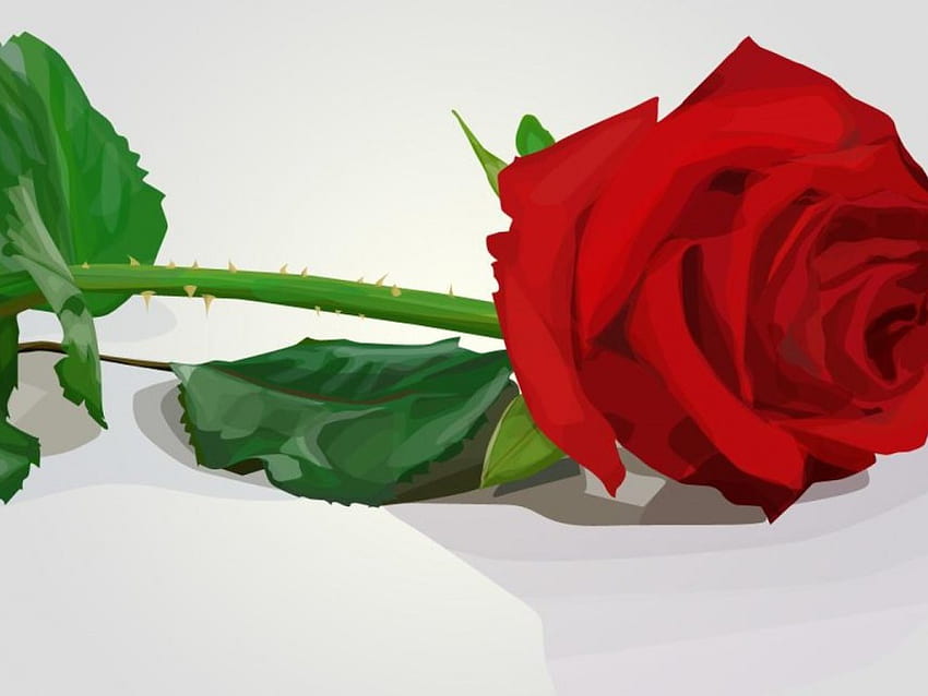 Rose, abstrakt, rot HD-Hintergrundbild