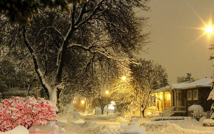 Winter storm and light before Christmas in Montreal, Quebec, Canada. HD wallpaper