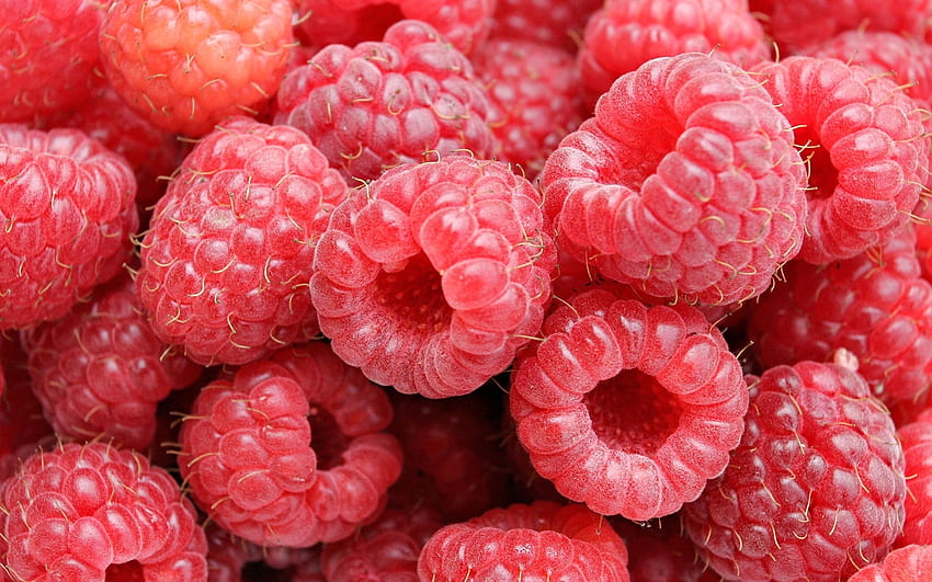 Fruits, Food, Background, Raspberry, Berries HD wallpaper