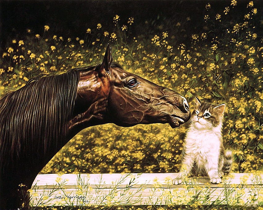 Little Friend, kitten, horse, cat, funny HD wallpaper