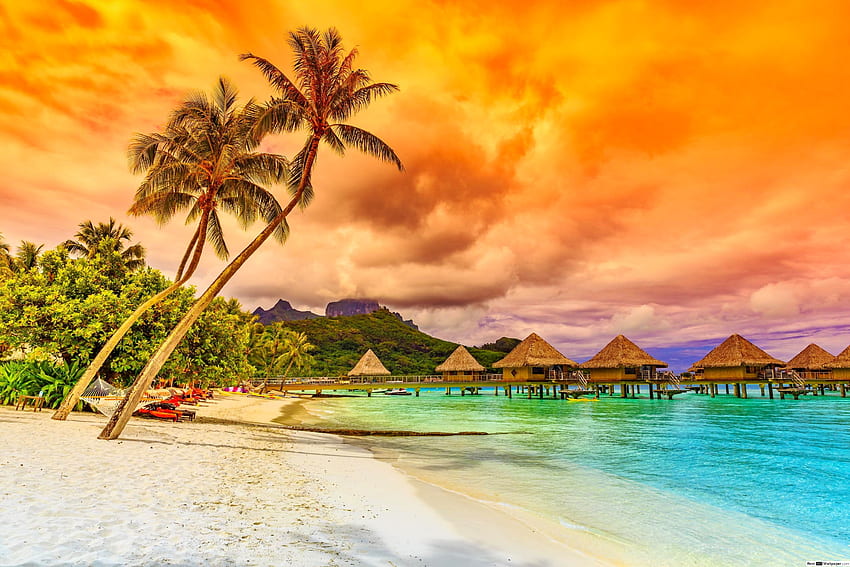 Tropical beach, palms, sea, tropics, coast, paradise, orange, vacation, fiery, beach, summer, rest, huts, sands, sky, bungalows, ocean HD wallpaper