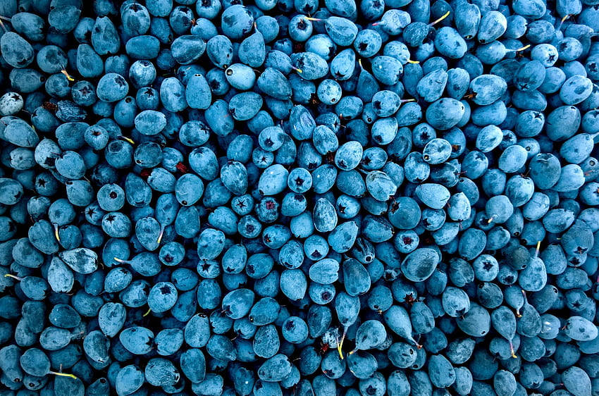 Abundance, fruit, blueberries HD wallpaper