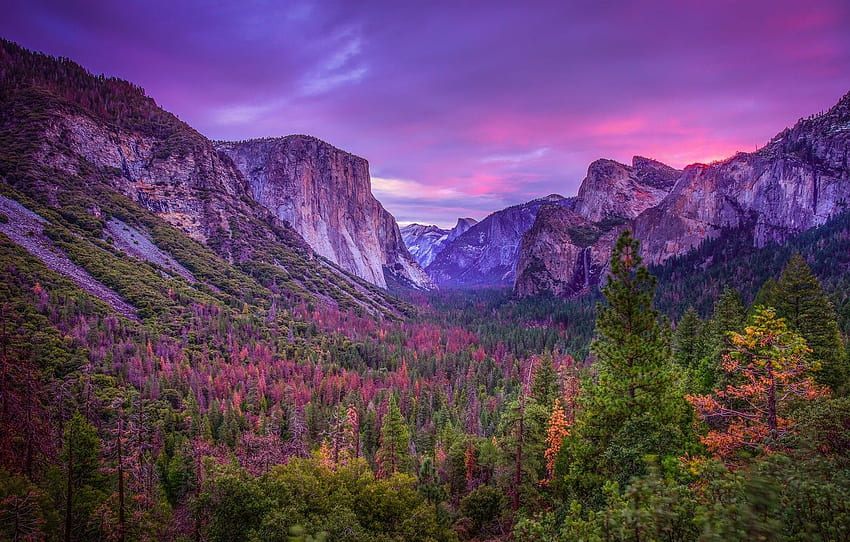 Landscape, Nature, Purple Sunset - Yosemite, Yosemite National Park Landscape HD wallpaper