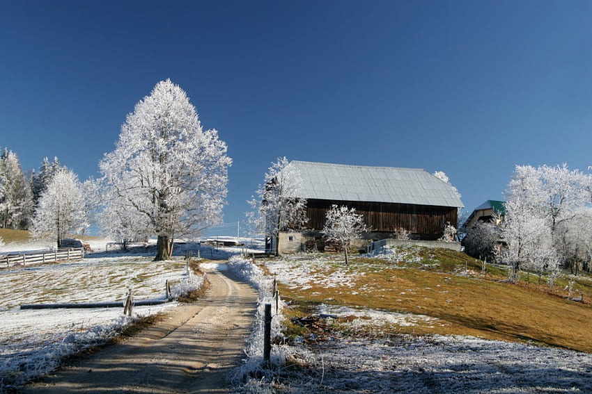 *** Musim dingin di pedesaan ***, musim dingin, salju, rumah, pohon, alam, pedesaan Wallpaper HD