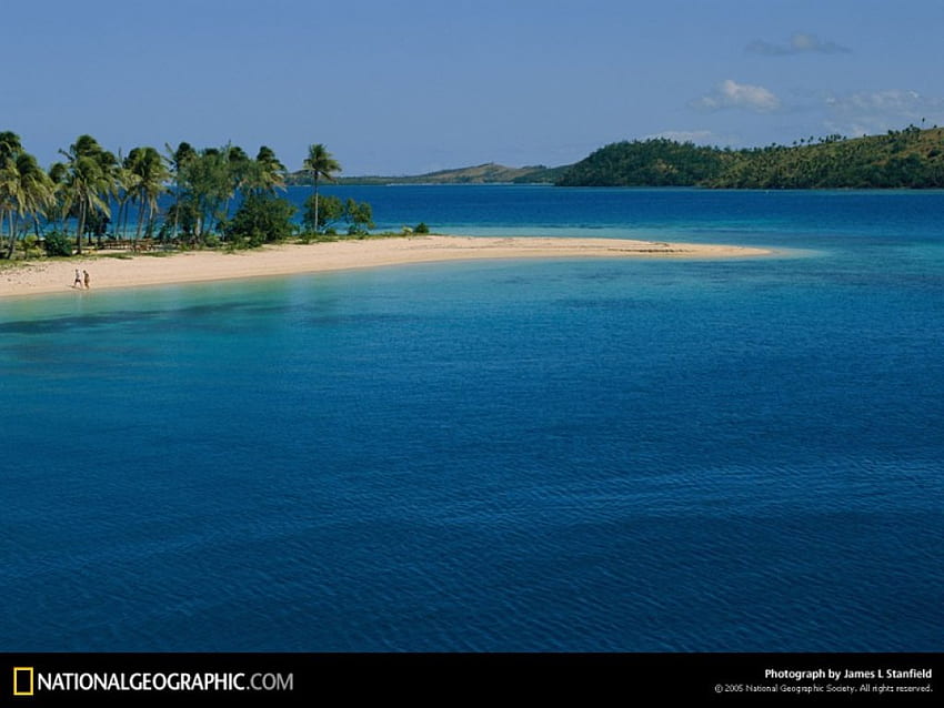 Playa de arena blanca del Pacífico Sur, tropical, playas, naturaleza, palmeras, pacífico sur, océano, arena blanca fondo de pantalla