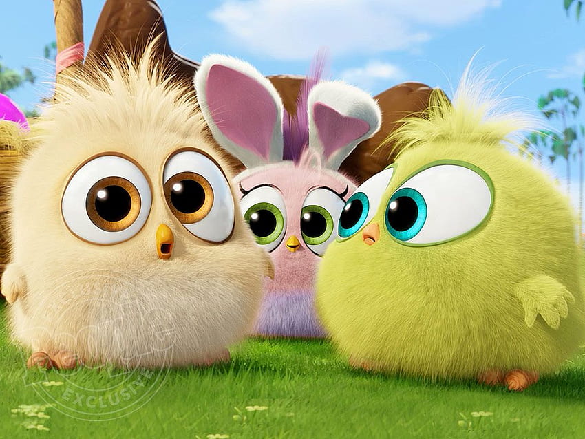 O filme Angry Birds: Veja os filhotes no clipe temático da Páscoa. Angry Birds Filme, Angry Birds, Cute Birds papel de parede HD