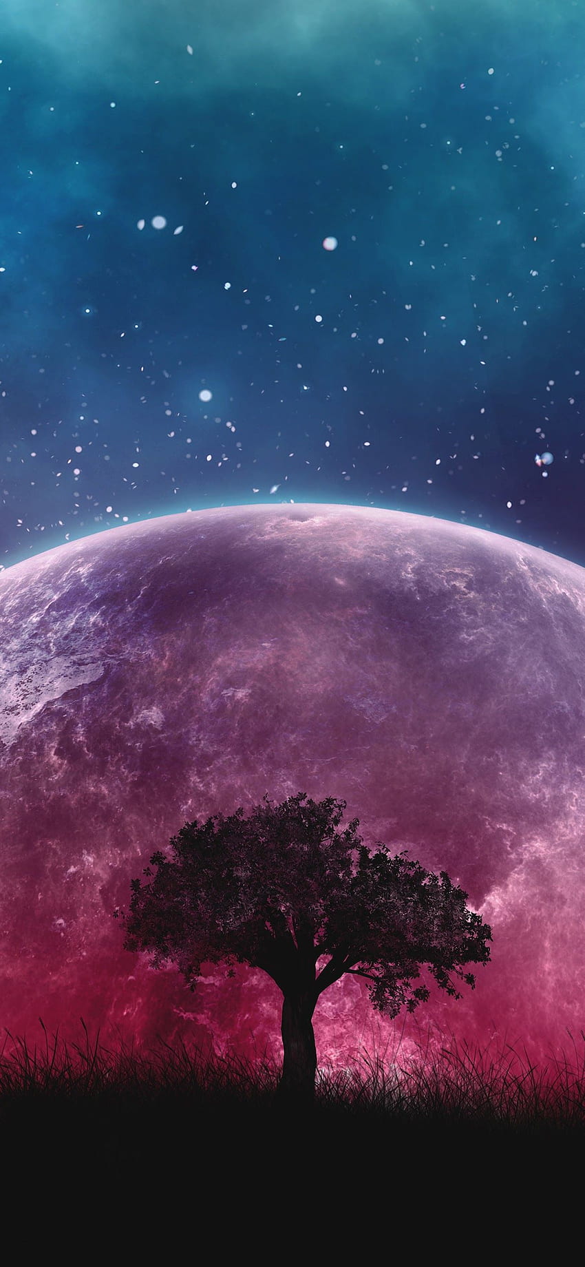 Peaceful background, night sky with full moon, stars, beautiful Stock Photo  - Alamy