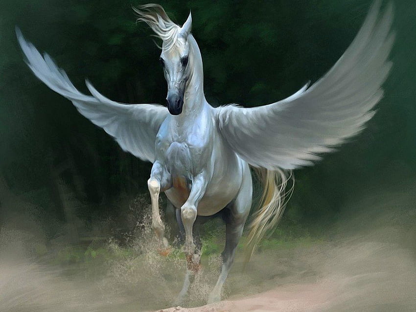 Kuda liar, dewa, hewan, sayap, warna-warni, kuda, sihir, warna, cantik, malaikat, liar, cantik, kemegahan, masa depan Wallpaper HD