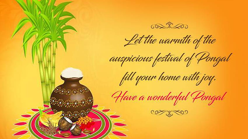 Нека топлината на благоприятния фестивал на Pongal изпълни дома ви с радост Имайте прекрасен Pongal Pongal HD тапет